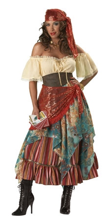 Fortune Teller Gypsy Elite Collection Costume